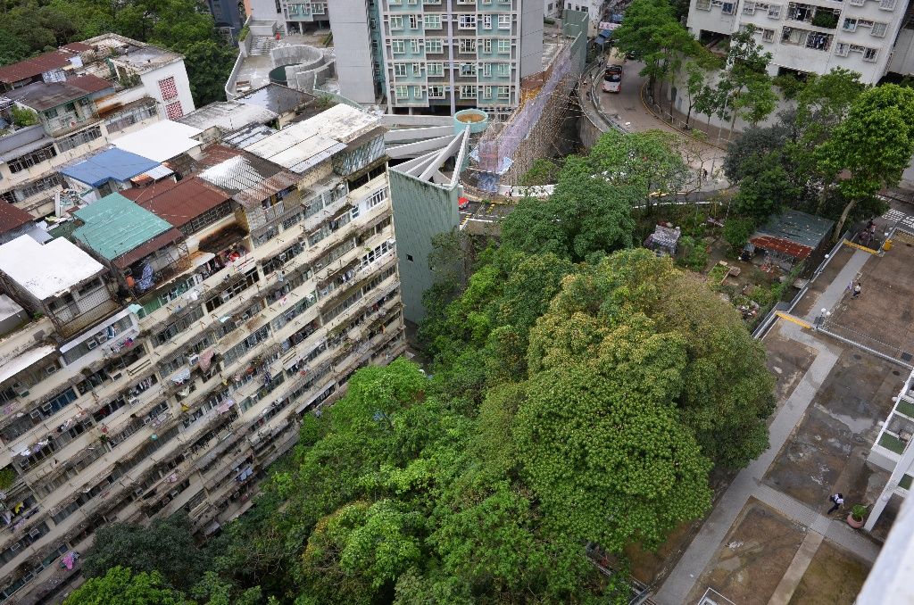 溫暖居室:享翠綠山景及熣爛夜景 - 太古/西灣河 - 住宅 (整間出租) - Homates 香港