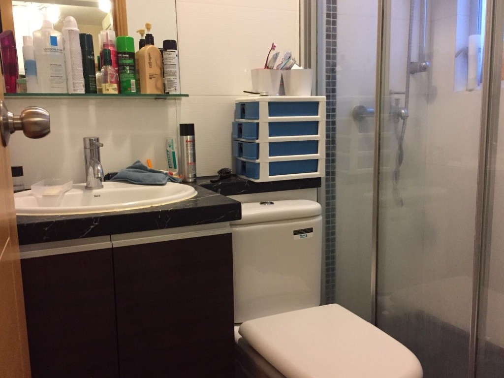 Spacious Master bedroom in a spacious 2BR flat available now, great neighborhood! - 灣仔 - 房間 (合租／分租) - Homates 香港