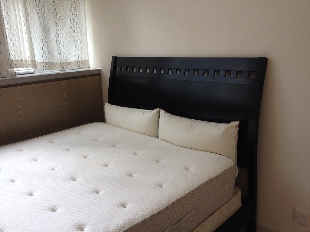 Spacious Master bedroom in a spacious 2BR flat available now, great neighborhood! - 灣仔 - 房間 (合租／分租) - Homates 香港