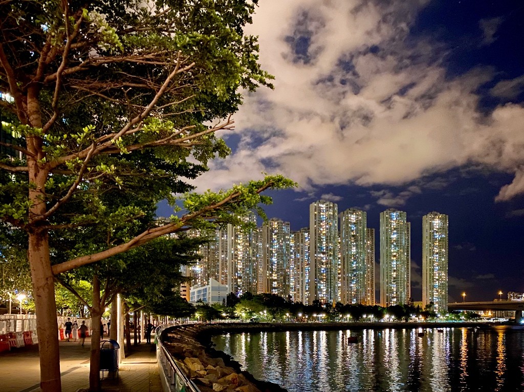 荃灣西鐵站海濱花園高層海景大房出租，電器齊，馬上可入住 - 荃灣 - 房間 (合租／分租) - Homates 香港