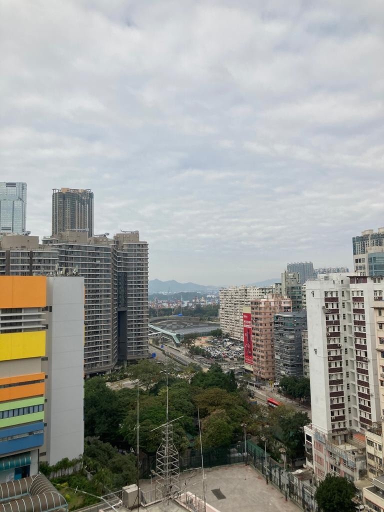 $11300 nice, sea view, balcony and convenience flat - 佐敦/尖沙咀 - 住宅 (整間出租) - Homates 香港