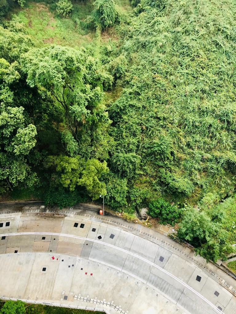 大埔天鑽2房2廳，高層山景，近入口，廚廁有窗 - 大埔/太和 - 住宅 (整間出租) - Homates 香港