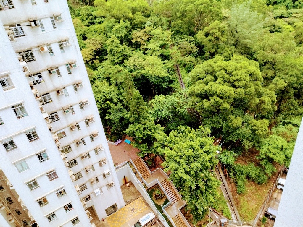 黃大仙翠竹花園平租 - 黃大仙 - 住宅 (整間出租) - Homates 香港