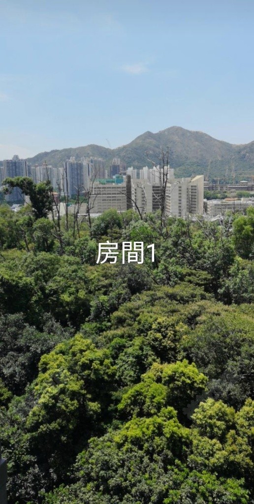 新屋苑完善會所設施公享空間無限上綱，基本家電，附露 - 屯門 - 房間 (合租／分租) - Homates 香港