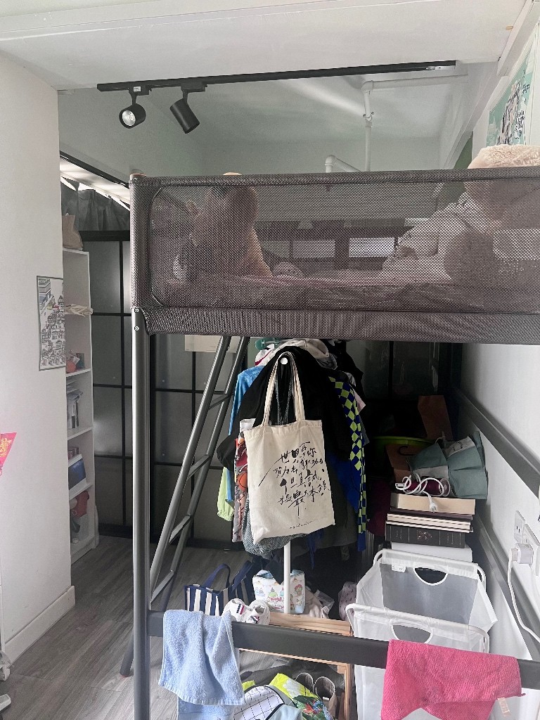 搵Roommate共享一房一廳！Sai Ying Pun&amp;Sheung Wan, Rent and Period flexible. - 西區 - 住宅 (整間出租) - Homates 香港