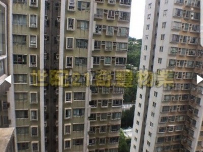 粉嶺中心某座中高層整租 - 粉嶺中心