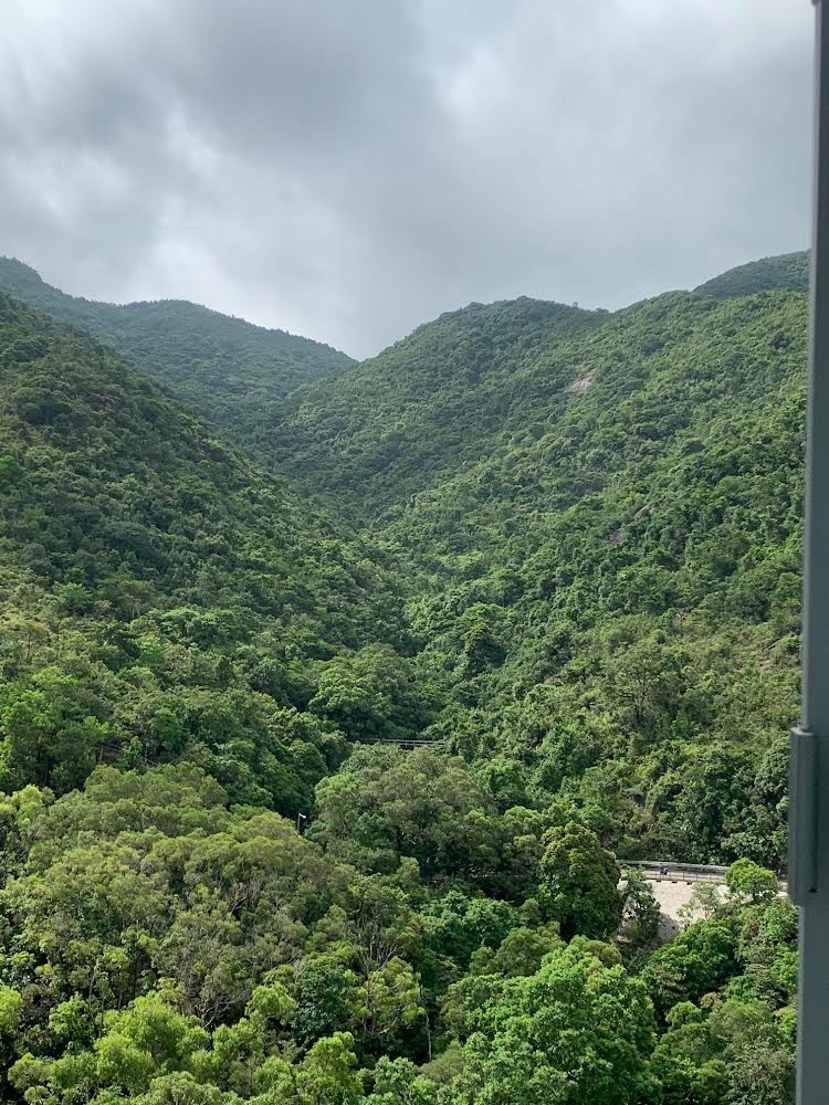免佣金向南山景傢俬齊全4窗女土單人房 - 沙田/火炭 - 房間 (合租／分租) - Homates 香港