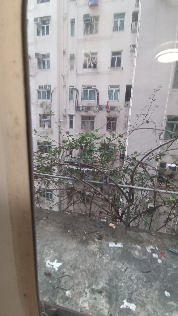 D03-1 Tsim Sha  Tsui Studio Room for rent  - 佐敦/尖沙咀 - 獨立套房 - Homates 香港