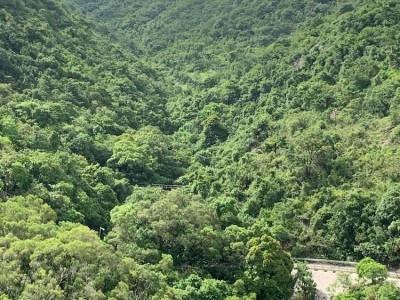 免佣金向南山景4窗高層整潔單人房只限租客 - 小瀝源路68號廣材苑C座高層