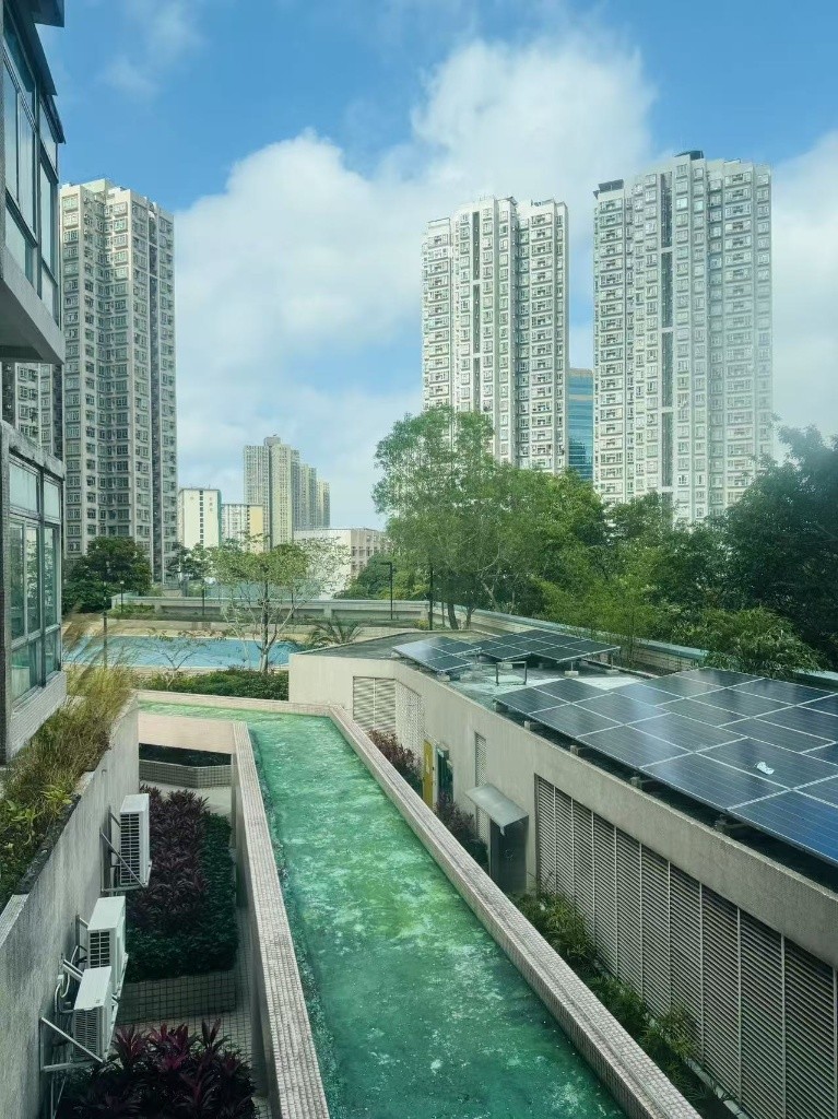 F013 Sheung Shui Centre Coliving space near MTR  - 上水 - 房間 (合租／分租) - Homates 香港
