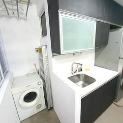 Immediate Available - Common Room/No Owner Staying/No Agent Fee/Allowed Cooking/No Pets Allowed/Near Somerset MRT, Fort Canning MRT, Dhoby Ghaut, and Great World MRT/  - Orchard - Flat - Homates Singapore