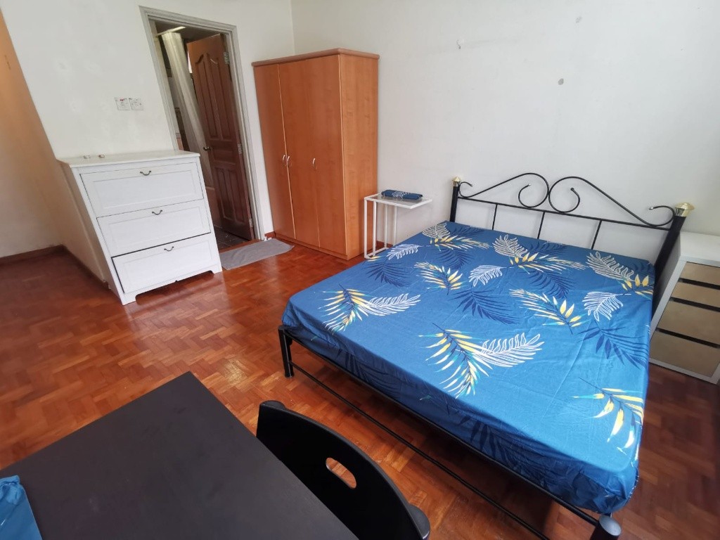 Novena MRT / Mount Pleasant MRT / Available Immediately / Min 3 - 12 Month Reantal / For 1 - 2 - Newton - Flat - Homates Singapore