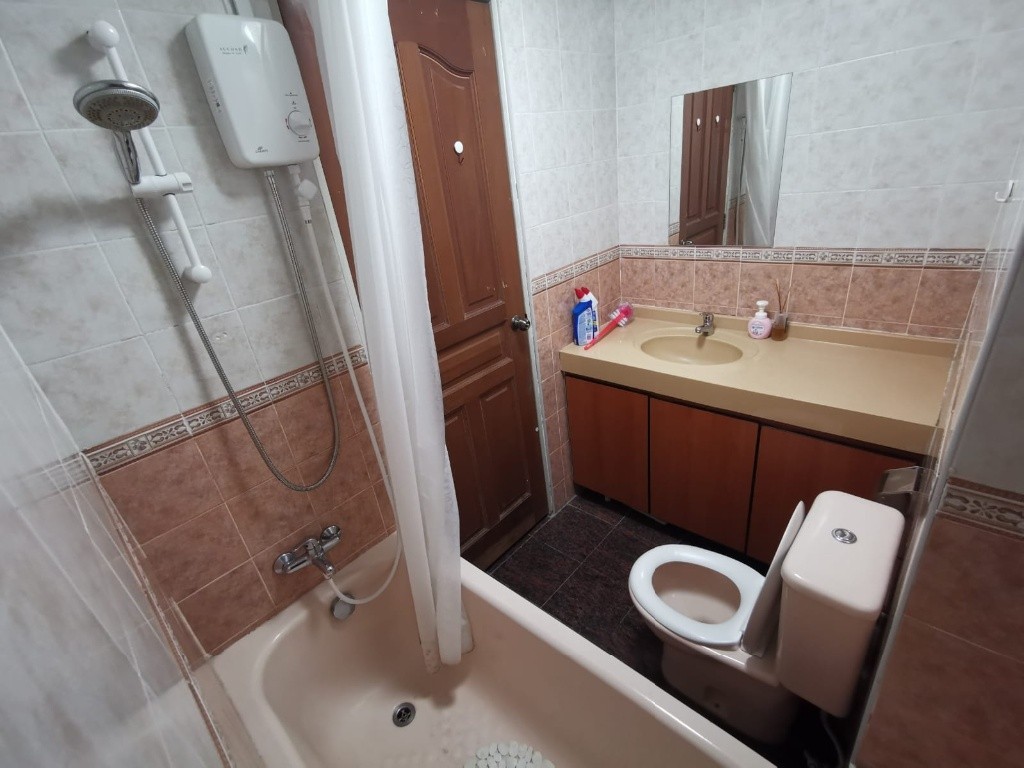 Novena MRT / Mount Pleasant MRT / Available Immediately / Min 3 - 12 Month Reantal / For 1 - 2 - Newton - Flat - Homates Singapore