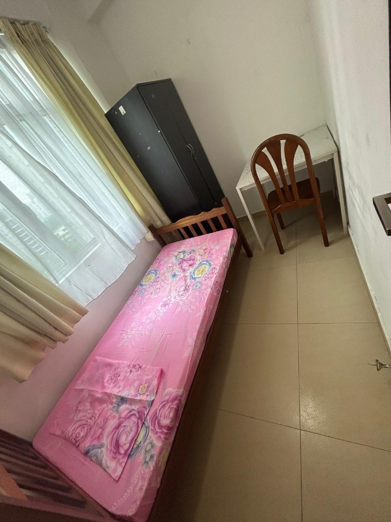 SUMMER GREEN  Toa Payoh/ Boon Keng / Novena MRT/ Available Immediate / Min 3 - 12 Month Rental / Include utilities / No owner stay - Novena 诺维娜 - 整个住家 - Homates 新加坡