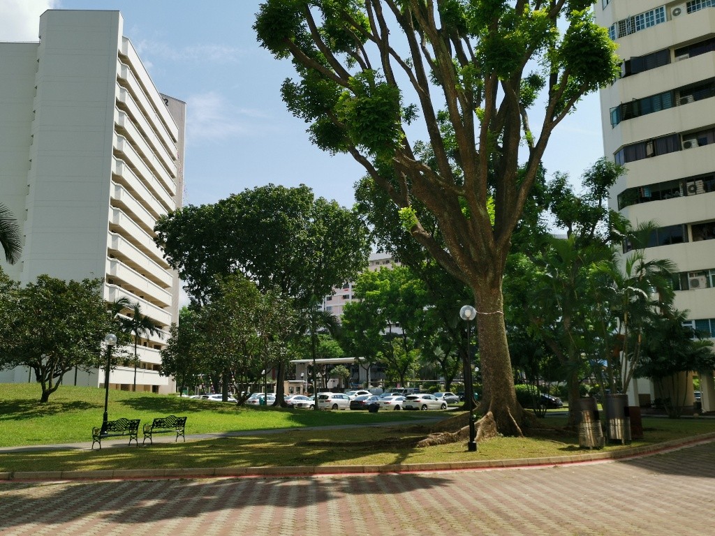 Chinese Garden MRT/Jurong East MRT - Ivory Height - Jurong East 裕廊東 - 整個住家 - Homates 新加坡