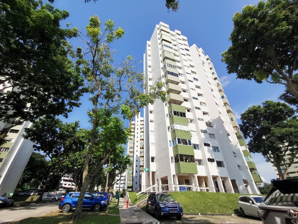 PINE GROVE 1P- Dover / Clementi mrt - Condo Master bedroom (Swimming pool &amp; gym) * Available 2 Dec - Bukit Timah 武吉知馬 - 整個住家 - Homates 新加坡
