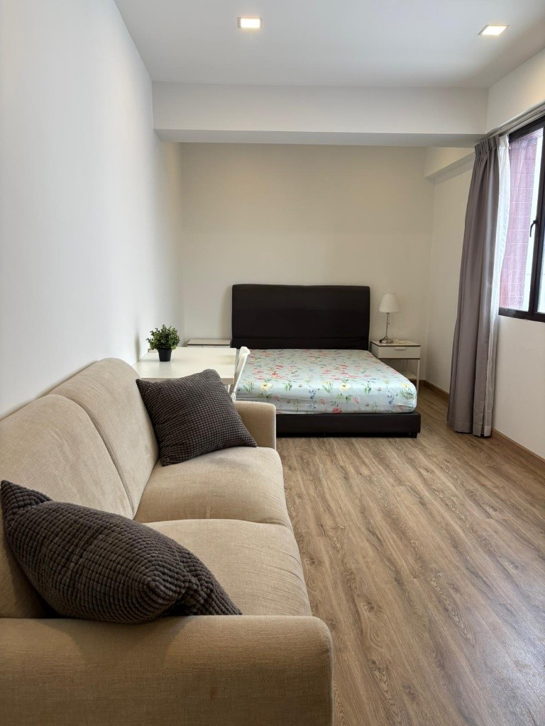 📍Condo Common Room at Balestier -  Available Jul 9 - Novena 諾維娜 - 整個住家 - Homates 新加坡