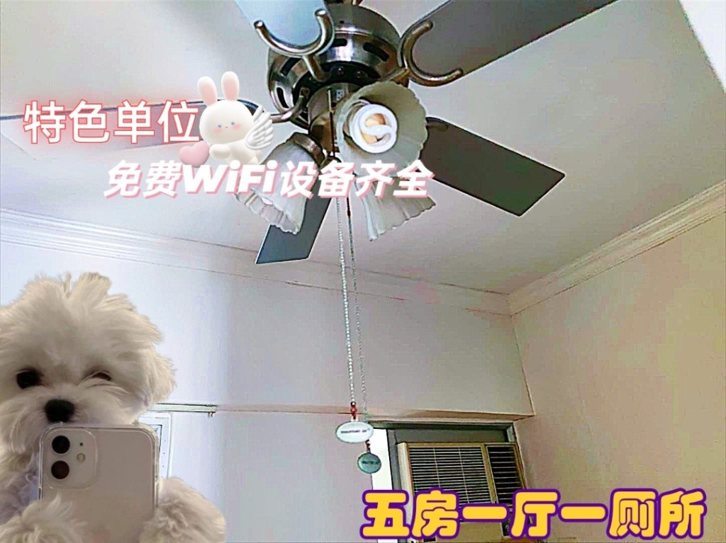 马鞍山中心Ma On Shan Centre Coliving Space for rent( short term rent ok) female only - Ma On Shan - Bedroom - Homates Hong Kong