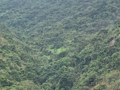 香港 -  - 小瀝源路68號廣材苑C座高層