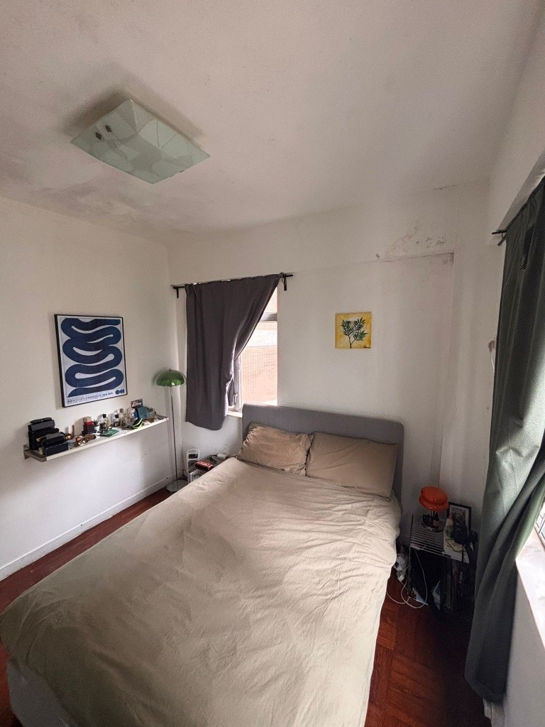 Nice and large flat to share in Sai Yin Pun with rooftop - 西半山 - 住宅 (整间出租) - Homates 香港
