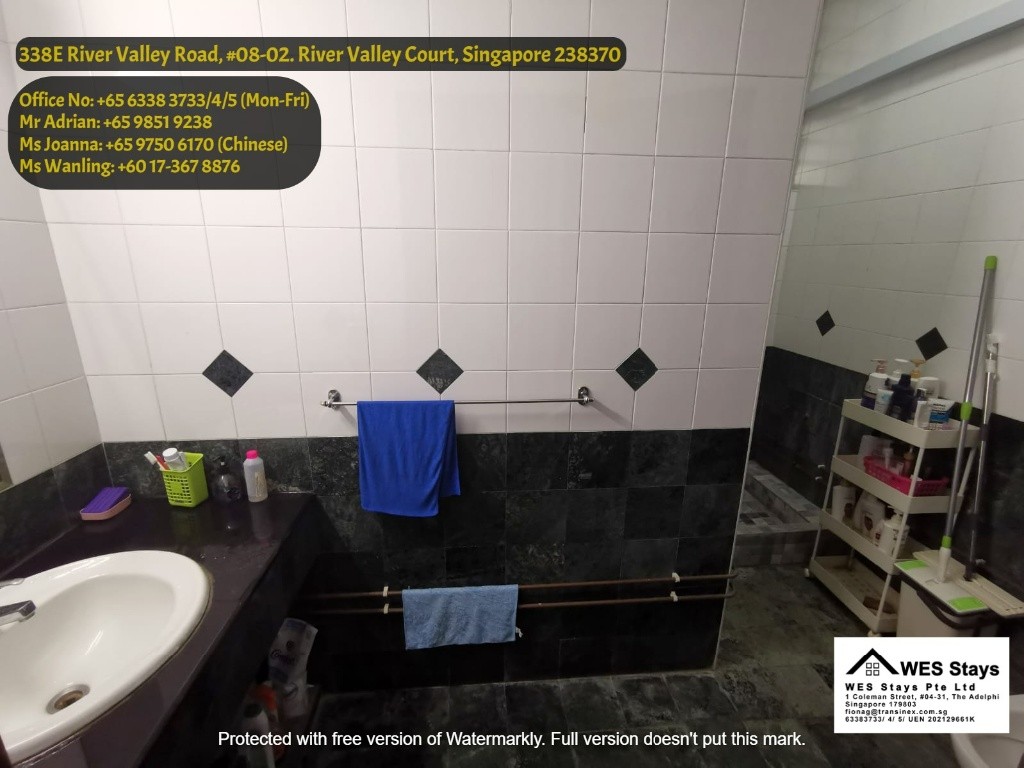 Common Room/Strictly Single Occupancy/no Owner Staying/No Agent Fee/Cooking allowed/Somerset MRT /Orchard / Fort Canning MRT / Dhoby Ghaut MRT /  Available 7 Nov - River Valley 裡峇峇利 - 整個住家 - Homates 新加坡