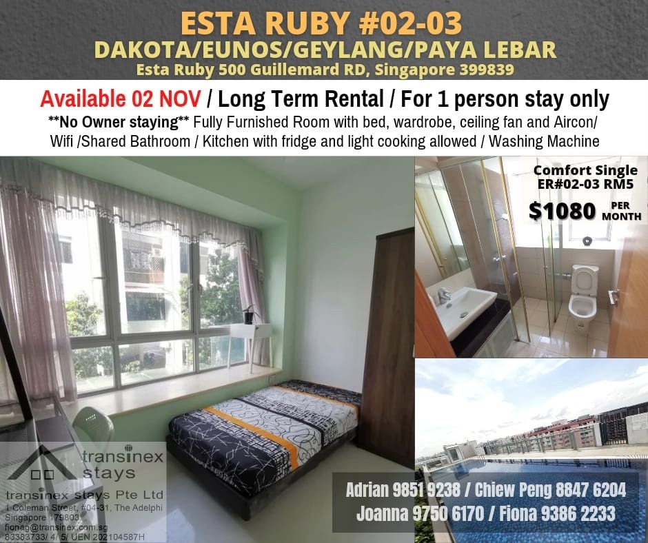Common Room/FOR 1 PERSON STAY ONLY/Wifi/No owner staying/No Agent Fee/Cooking allowed/Paya Lebar MRT, Dakota MRT/Private lift access to apartment/Available 02 November - Geylang 芽籠 - 分租房間 - Homates 新加坡