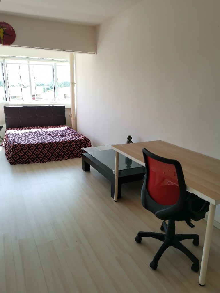 Common Room/FOR 1 PERSON STAY ONLY/Wifi/No owner staying/No Agent Fee/No owner staying/Cooking allowed/Boon Lay/Chinese Garden MRT/Jurong East MRT/Clementi/Lakeside MRT/ Available 19 Sep - Lakeside -  - Homates Singapore