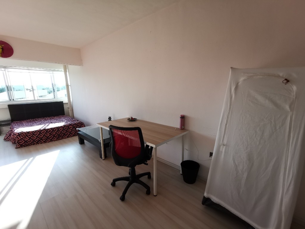 Common Room/FOR 1 PERSON STAY ONLY/Wifi/No owner staying/No Agent Fee/No owner staying/Cooking allowed/Boon Lay/Chinese Garden MRT/Jurong East MRT/Clementi/Lakeside MRT/ Available 19 Sep - Lakeside 湖畔 - Homates 新加坡