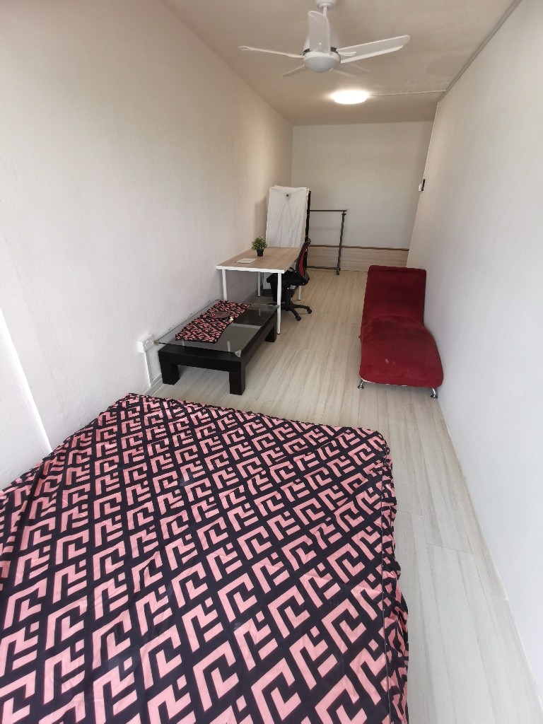Common Room/FOR 1 PERSON STAY ONLY/Wifi/No owner staying/No Agent Fee/No owner staying/Cooking allowed/Boon Lay/Chinese Garden MRT/Jurong East MRT/Clementi/Lakeside MRT/ Available 19 Sep - Chinese Gar - Homates Singapore