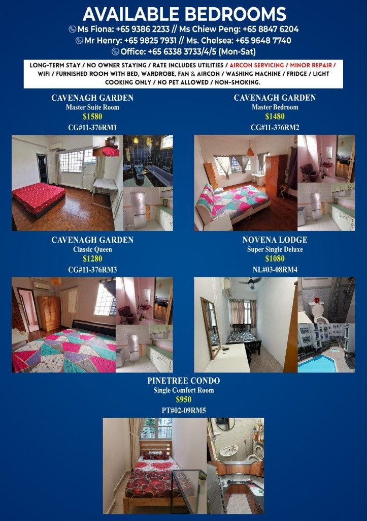 Available immedia﻿te - Common Room/Strictly Single Occupancy/no Owner Staying/No Agent Fee/Cooking allowed/Near Newton MRT/Near Orchard MRT/Stevens MRT - Bukit Timah 武吉知馬 - 分租房间 - Homates 新加坡
