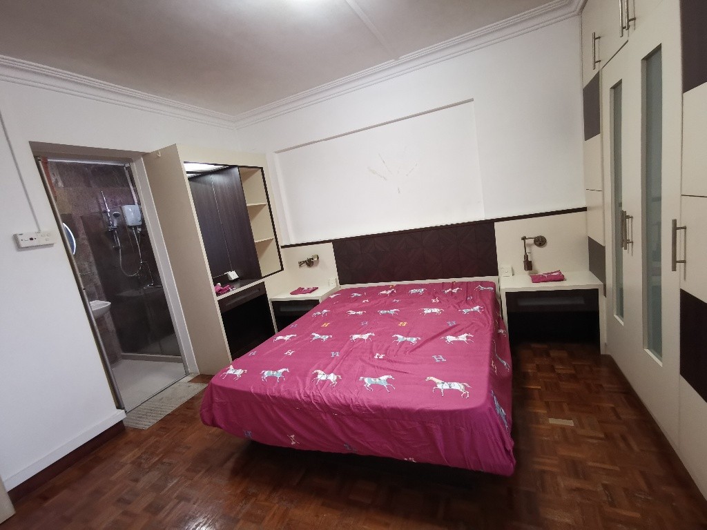 Outram MRT/Tanjong Pagar MRT/Chinatown MRT/Master Room/ Available 17 Dec/ No Agent Fee - Tanjong Pagar 丹戎巴葛 - 分租房间 - Homates 新加坡