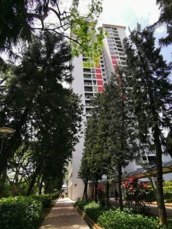 Room For Rent - 107 Spottiswoode Park Road Rm2 - Chinatown 牛車水 - 整個住家 - Homates 新加坡