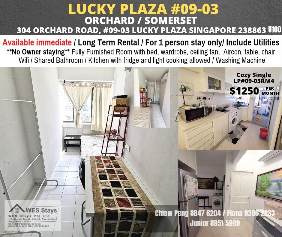 Available Immediate / Common Room / Single Occupancy / no Owner Staying / No Agent Fee / Cooking allowed / Orchard Mrt / Somerset MRT / Newton MRT - Orchard 烏節路 - 分租房間 - Homates 新加坡
