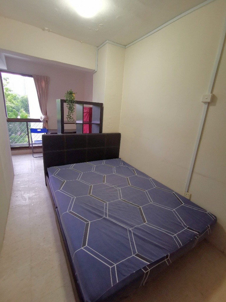 Common Room / Near Clementi, Dover &amp; Buona Vista MRT / 1 Pax Stay / Available 11 Oct / No Owner Stay - Bukit Merah - Flat - Homates Singapore