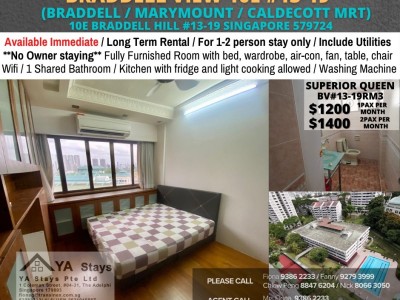 新加坡 -  -  Braddell View, 10E Braddell Hill, #11-20, Singapore 579724