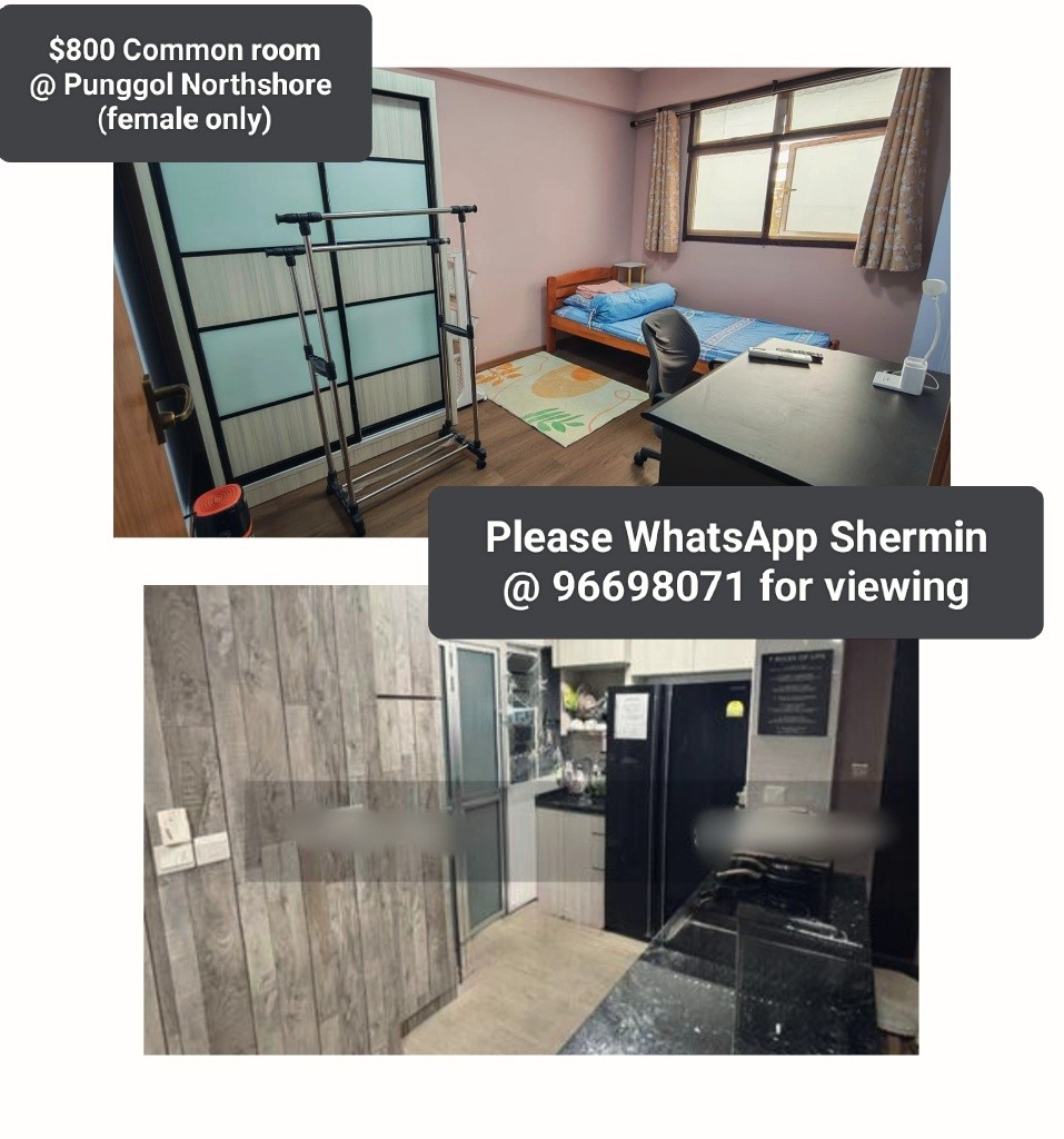 $800 Common room @ Punggol Northshore  - Punggol 榜鹅 - 整个住家 - Homates 新加坡