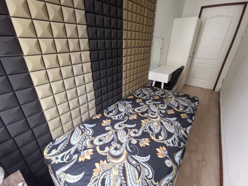 Available﻿ Immediately - Common Room/Include Utilities/Wifi/Aircon/No Agent Fee/Light Cooking Allowed/Washing Machine - Tanglin 東陵 - 整個住家 - Homates 新加坡