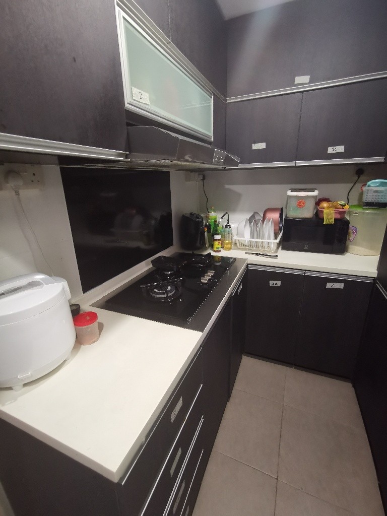 Room for rent / DHOBY GAUT / SOMERSET / Common room / 1-2pax stay / Available September 2 - Orchard 烏節路 - 整個住家 - Homates 新加坡