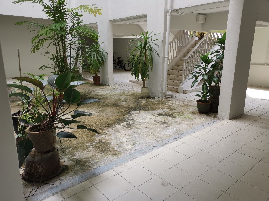 Room for rent / Braddell / Common room / 1pax stay / Available 23 Oct - Braddell 布莱徳 - 分租房间 - Homates 新加坡