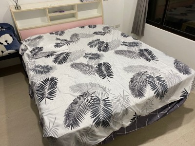 尋找室友，平分 - 大園區拔子林一路228號11樓